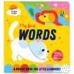 Picture of MY FIRST WORDS TOUCH AND FEEL BOOK